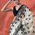 Off white ready to wear satin floral digital printed saree