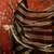 Black sequinned tissue designer leheriya saree