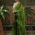 Green embellished embroidered laheriya printed georgette ready to wear saree