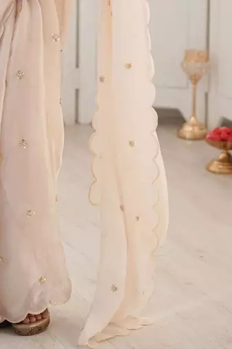 White ethnic motifs embroidered heavy work bagh saree
