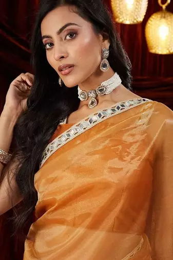 Gold embroidered bordered sarees