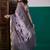 Lavender ethnic motifs printed zari saree with unstitched blouse
