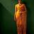 Mustard embroidered net sarees