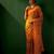 Mustard embroidered net sarees
