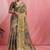 Multicolor ethnic motifs tissue designer banarasi saree
