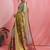 Multicolor floral tissue handloom banarasi saree
