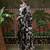 Black ready to wear satin floral digital printed saree