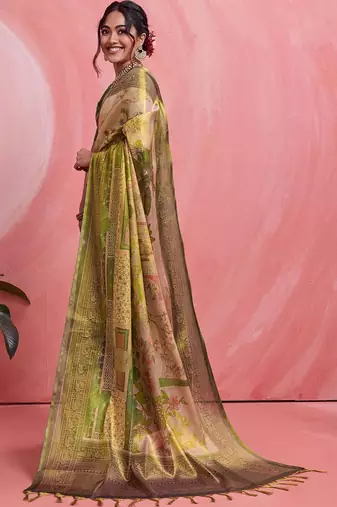 Multicolor floral tissue heavy work banarasi saree