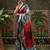 Red ready to wear satin floral digital printed saree