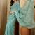 Blue embroidered chiffon saree