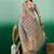Grey striped weaved zari woven kanjeevaram saree with blouse
