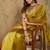 Lime organza zari kanjeevaram saree