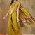 Lime organza zari kanjeevaram saree