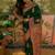 Green woven design saree with unstitched blouse