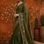 Olive embellished embroidered  georgette saree