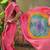 Pink womens pink  chiffon bandhani unstitched blouse piece & sarees