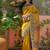 Mustard position printed zari weaving saree with contrast blouse piece