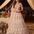 Beige Zari Embroidered Net Party Wear Lehenga Choli Set