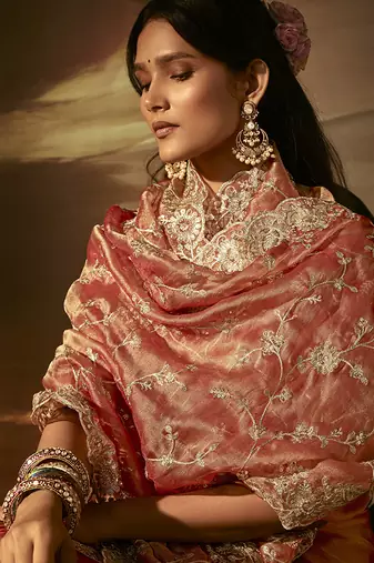 Light orange zari organza with gotta patti  aari work designer saree