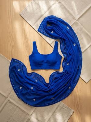 Blue women embroidered saree with blouse piece 4