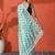 Green embellished checked printed digital printed satin saree with blouse piece