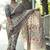 Cream paisley mirror work bandhani saree