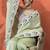 Lime embellished embroidered saree with unstitched blouse