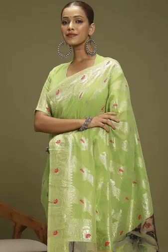 Green ethnic motifs banarasi fastive saree