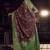 wine viscose dola silk blend zari mirror & heavy embroidery work saree