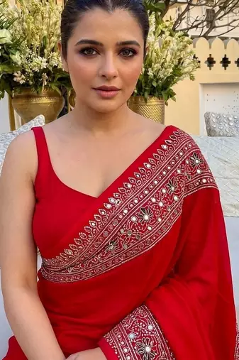 Red ethnic motifs mirror work saree