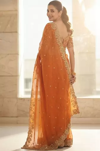 Rust embroidered sarees blouse piece