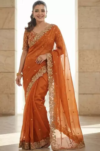 Rust embroidered sarees blouse piece