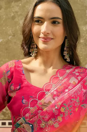 Multicolor ethnic motifs embroidered organza heavy work saree