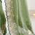 Lime floral embroidered poly georgette saree