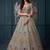 Luxurious Pista Green Hand Work Net Reception Wear Lehenga Choli With Dupatta