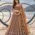 BROWN NET THREAD WITH ZARI AND SEQUINCE WORK FESTIVE LEHENGA CHOLI SET FOR WOMEN'S