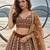 BROWN NET THREAD WITH ZARI AND SEQUINCE WORK FESTIVE LEHENGA CHOLI SET FOR WOMEN'S