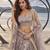 DUSTY BROWN NET THREAD WITH ZARI AND SEQUINCE WORK FESTIVE LEHENGA CHOLI SET FOR WOMEN'S