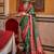 Green ethnic motifs zari patola saree