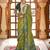 Green ethnic motifs zari patola saree