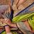 Green ethnic motifs woven design designer sungudi saree