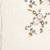 white floral embroidered organza saree