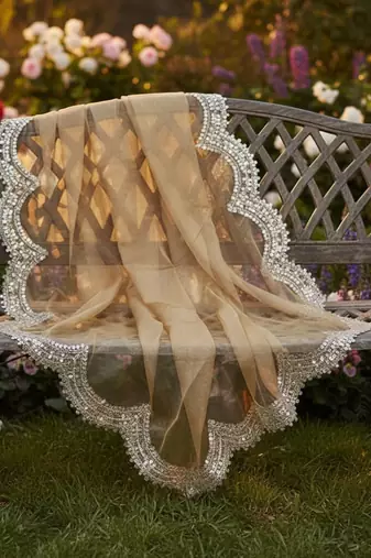 Dyed orgenza dupatta with sequance lace