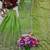 Light-green silk blend embroidered sharara set