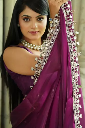 Burgundy tissue mirror work border saree