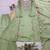 Light-green chanderi embroidered palazzo set