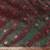maroon woven design zari banarasi silk blend saree
