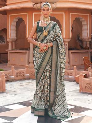 Grey ethnic motifs zari silk blend pochampally saree 1