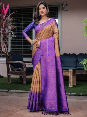 blue ethnic motifs zari kanjeevaram silk blend saree 1