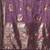 magenta woven design zari organza banarasi saree